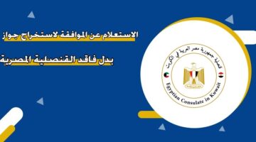 الاستعلام عن الموافقة لاستخراج جواز بدل فاقد القنصلية المصرية