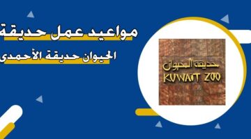 مواعيد عمل حديقة الحيوان حديقة الأحمدي